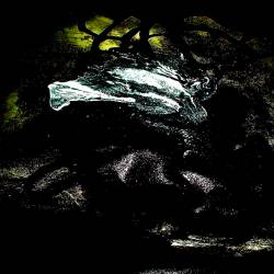 Le Cœur de la Noirceur